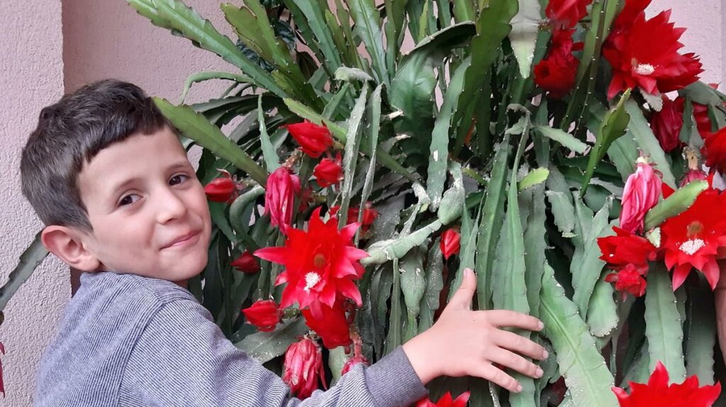 Altınyaprak İlkokulu Çevremizdeki Bitkileri İşledi