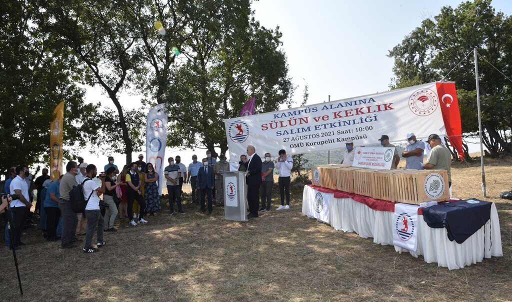 OMÜ Kurupelit Kampüsüne Sülün ve Keklik Sald