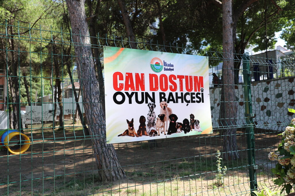 Hayalim olan alan gerçek oldu..