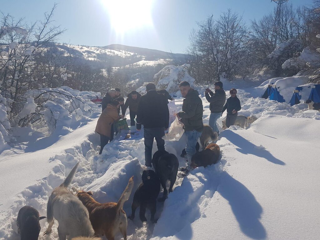 SOKAKTAKİ CANLAR BİZE EMANET!