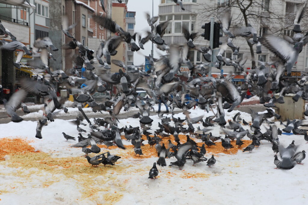 “Can dostları bize emanet”