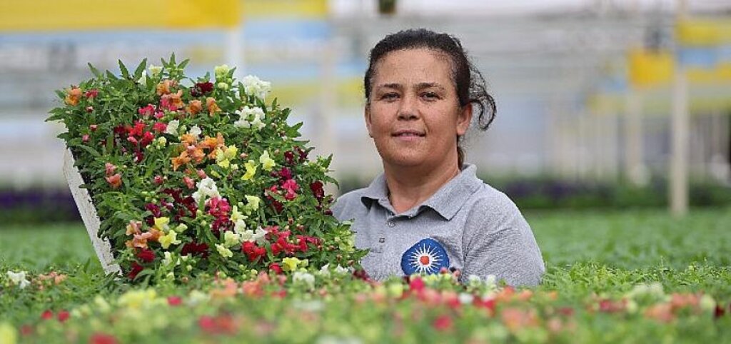 Antalya sokaklarını 3 milyon çiçek süsleyecek