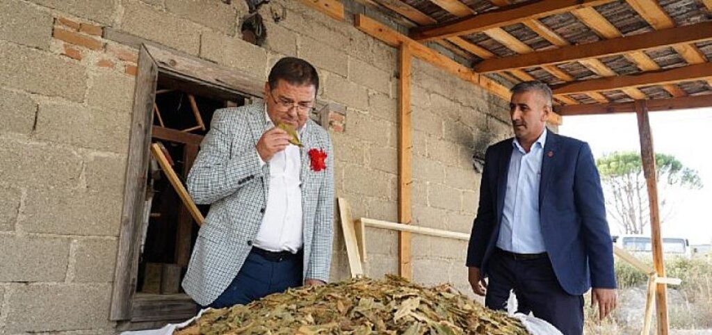 Başkan Tokat, Müjdeli Haberi Verdi Kanayan Yara Su’ya Çözüm Bulundu