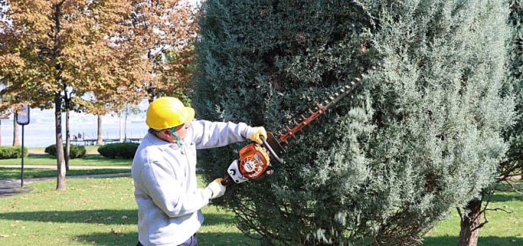 Büyükşehir'den ağaçlara estetik dokunuş
