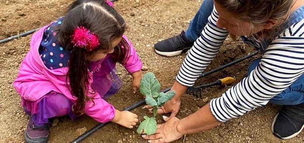 Geleceğin çiftçileri