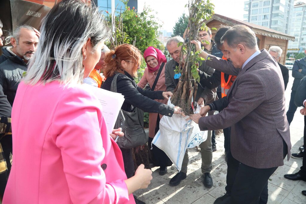 Atakum’da üreticiye ceviz fidanı desteği 