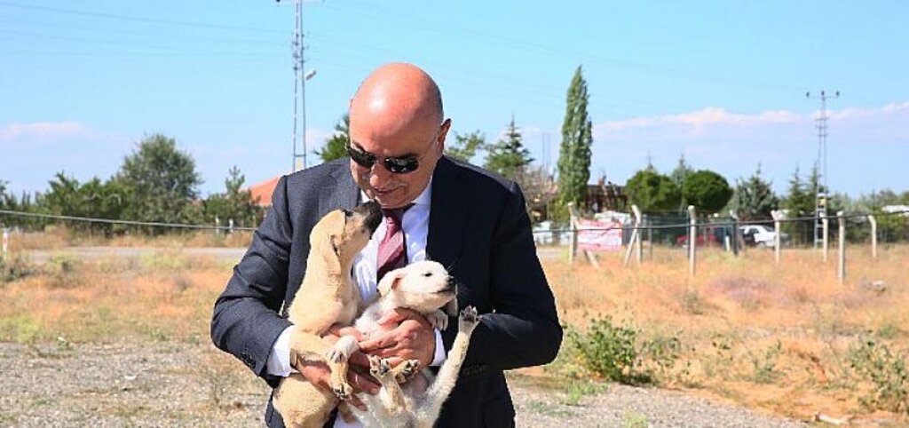 Keçiören Belediyesi Sokak Hayvanlarına Can Oluyor