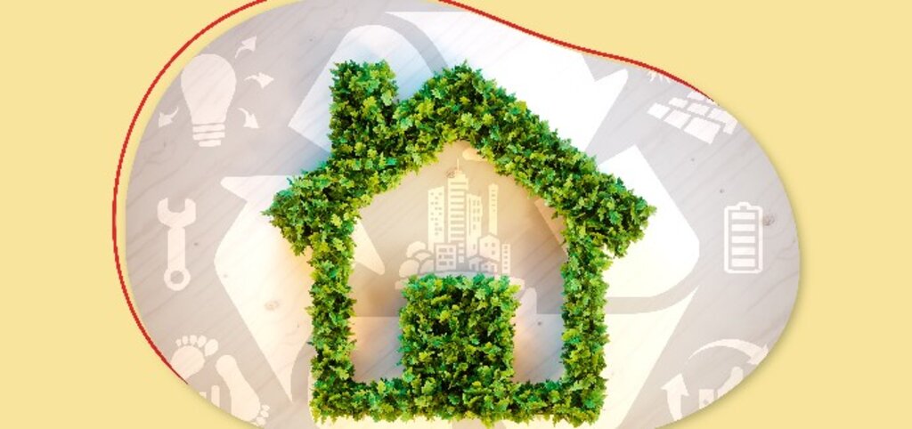 Aksigorta’dan Sürdürülebilirliğe Katkı: Ekolojik Akkonut