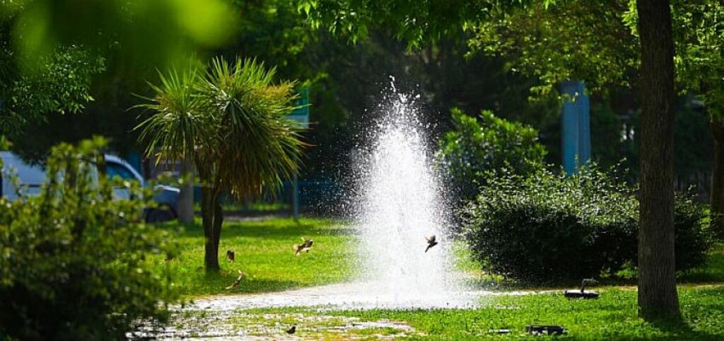 Bayraklı’nın yeşil oranı her yıl artıyor