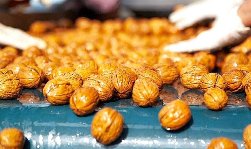 Ceviz Üreticileri Derneği'nden tüketicilere uyarı: 