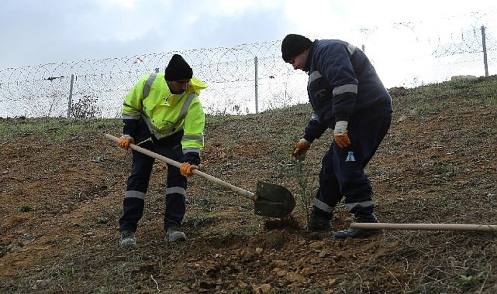 TEM'in Gebze güzergâhında yeşil seferberlik