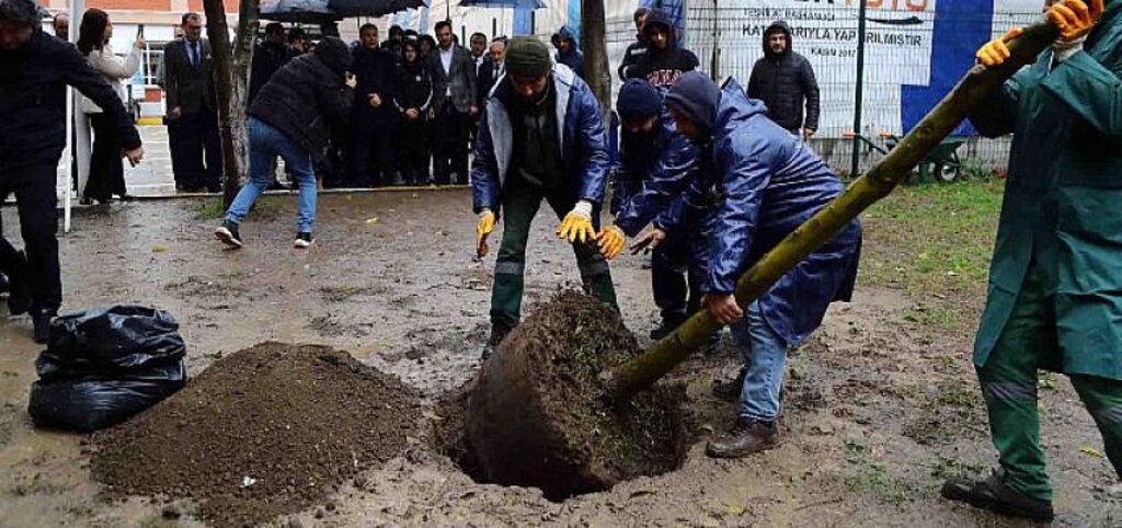 Terör saldırısında hayatını kaybeden Yağmur’un anısına fidan dikildi