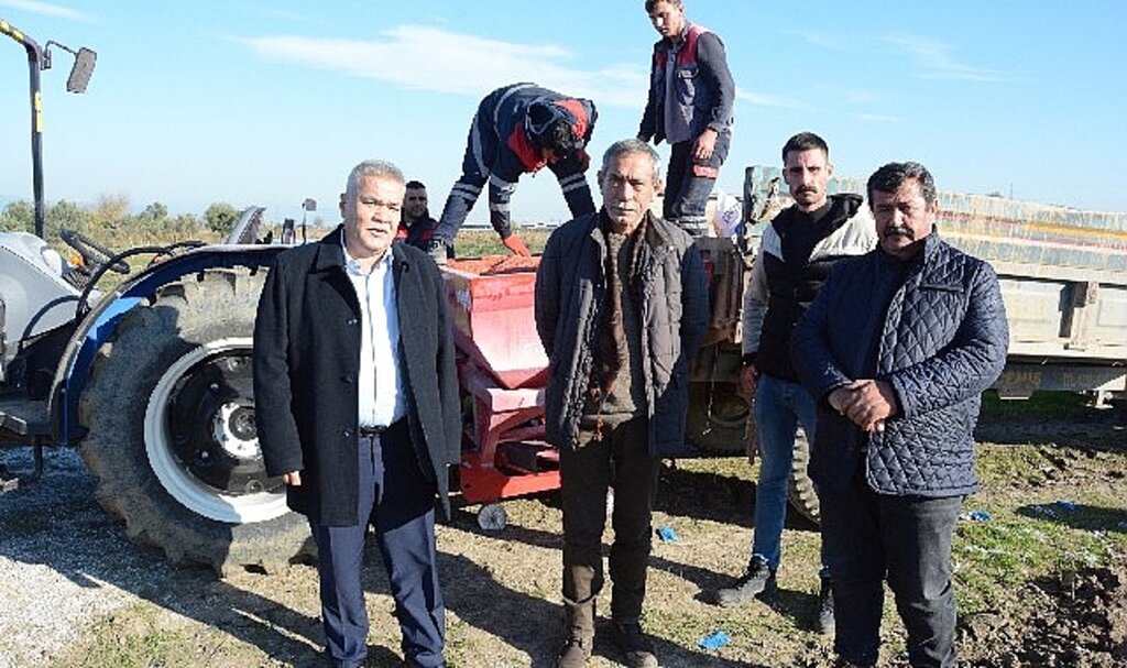 Torbalı Belediyesi arazilerine buğday ekti