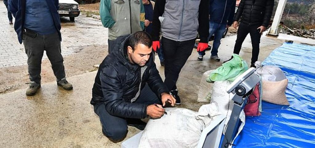 Yerli kuru fasulyeyle çiftçiye 1,5 milyon liralık destek