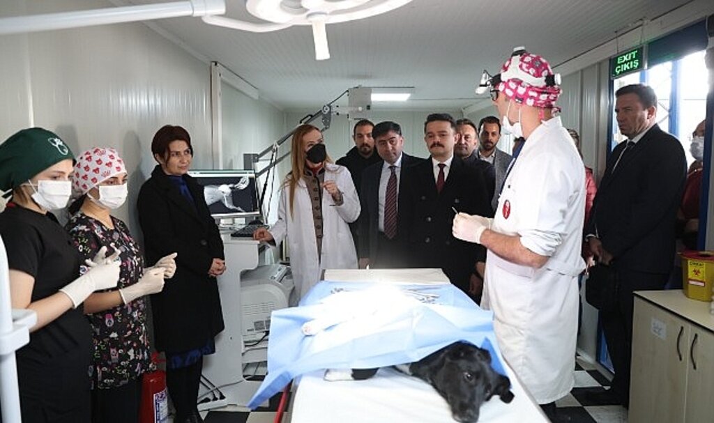 DEÜ'den Can Dostlara Şefkat Eli