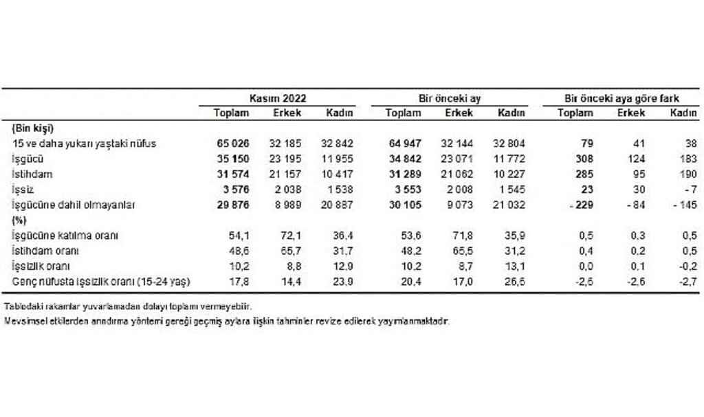 Mevsim etkisinden arındırılmış işsizlik oranı %10,2 seviyesinde gerçekleşti