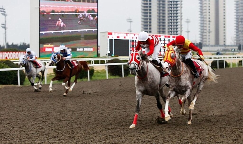 Veliefendi Hipodromu'nda