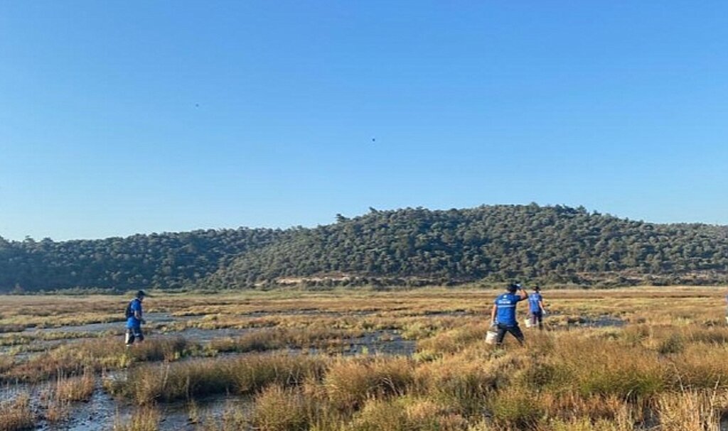 Büyükşehir Vektörle Mücadele Çalışmalarına devam ediyor