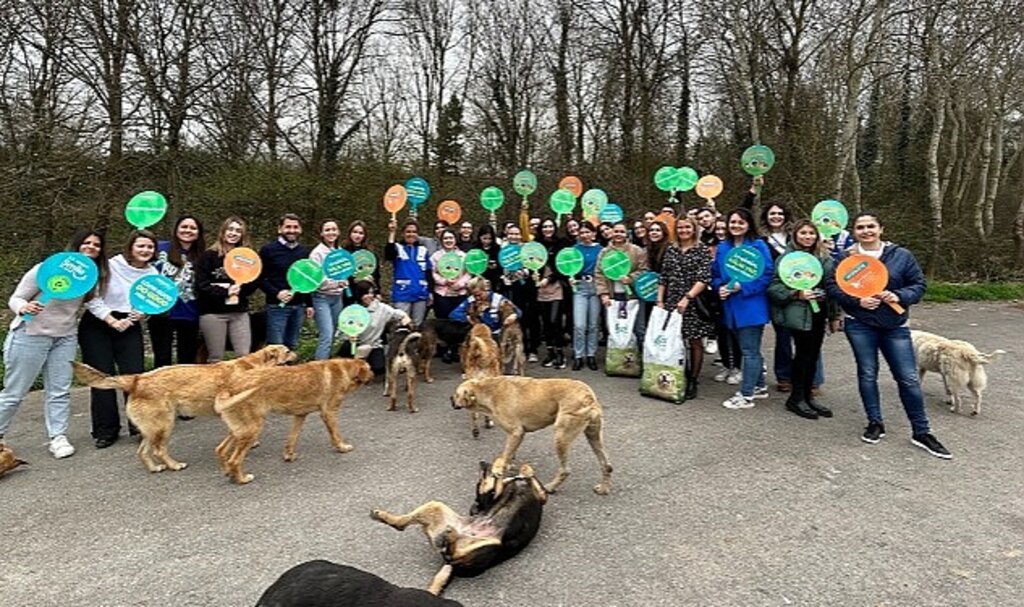 Watsons Türkiye HAYTAP İş Birliği ile 4 Nisan Sokak Hayvanları Günü'nde Ormanlardaki Dostlarımızı 1 Ton Mamayla Besledi!