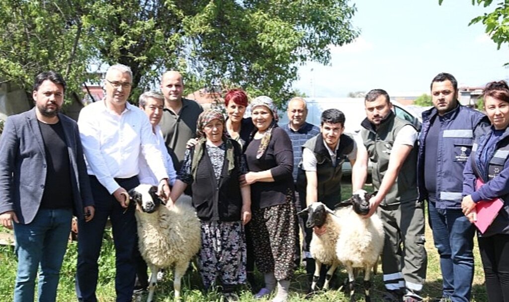 Başkan Çerçioğlu'ndan Koyunları Telef Olan Üretici Kadına Destek