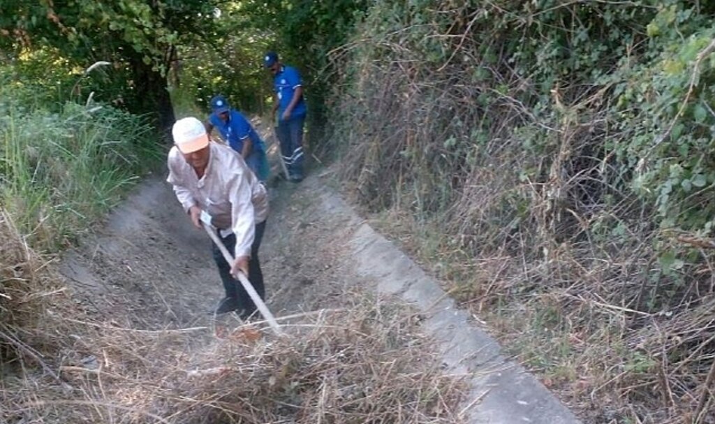 Muğla Büyükşehir'den Muğla Tarımına Destek