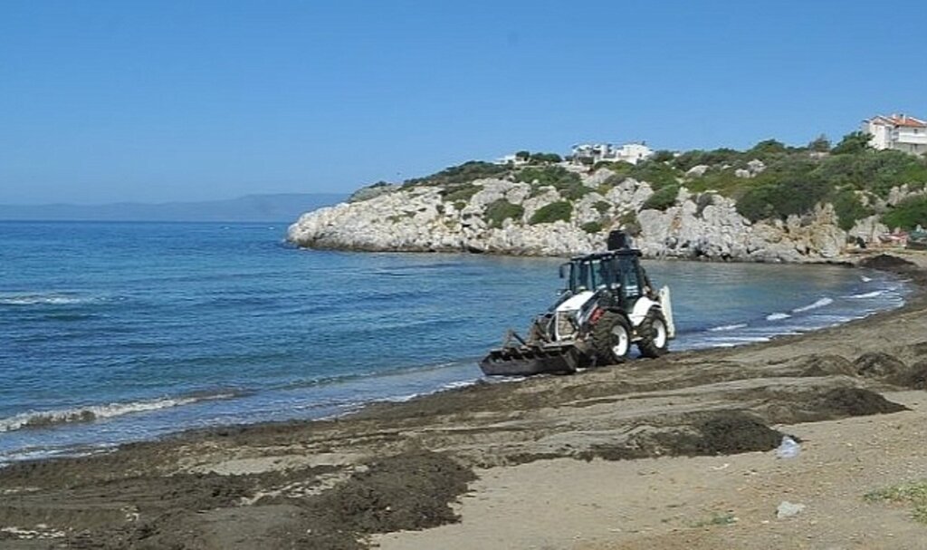 Seferihisar'ın plajları yaza hazırlanıyor