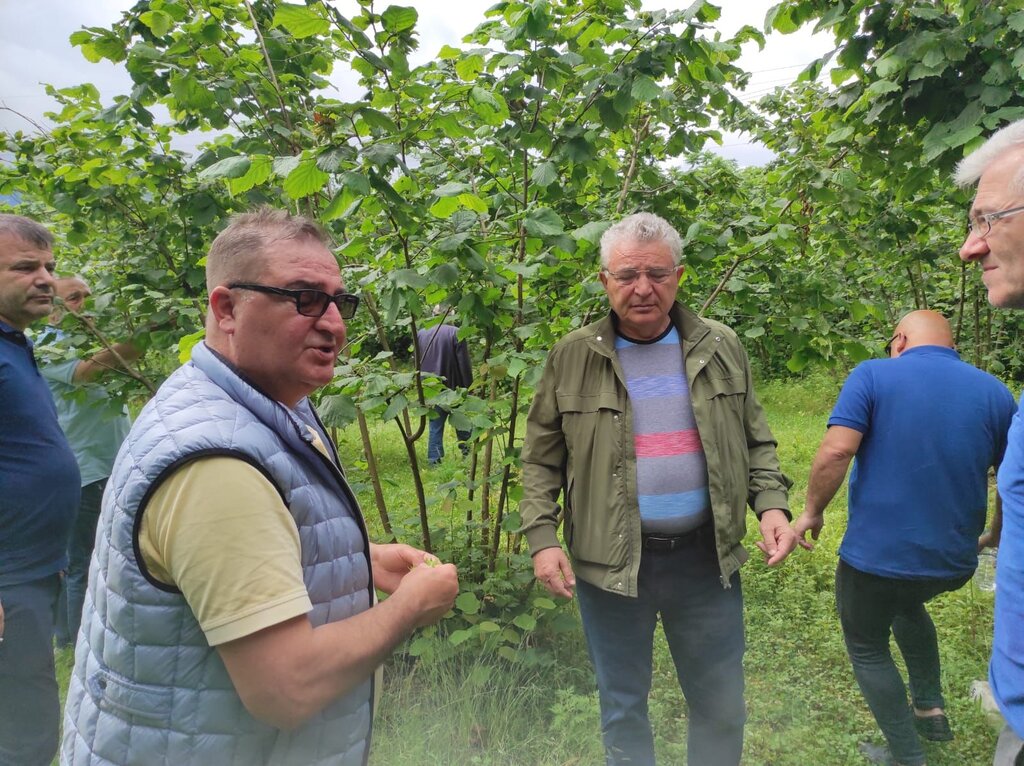 Ulusal Fındık Konseyi, Gürcistan’da…