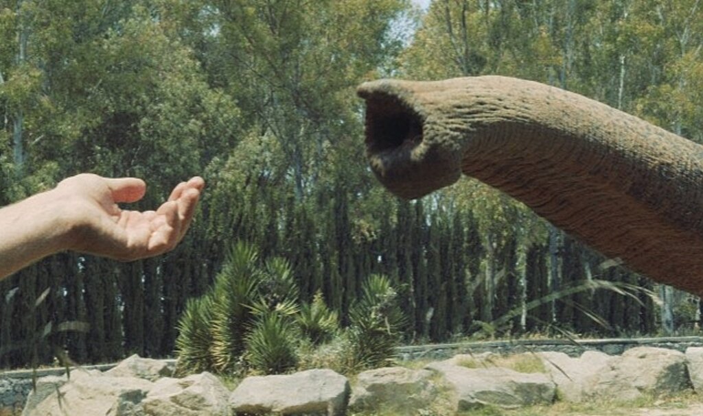 İstanbul Modern Sinema'da Unutma Biçimleri