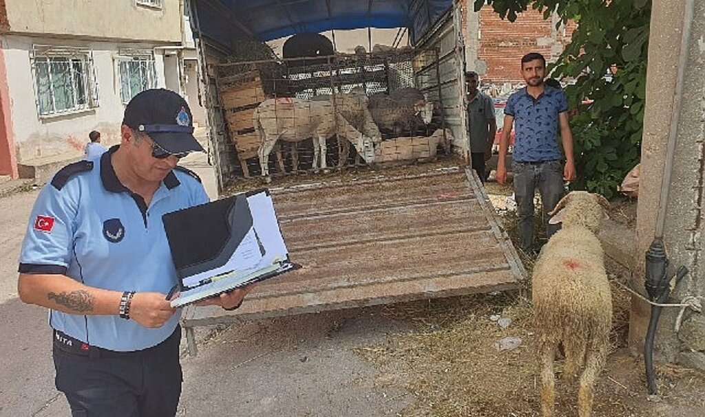 Mahalle arasında kurban satışına izin yok