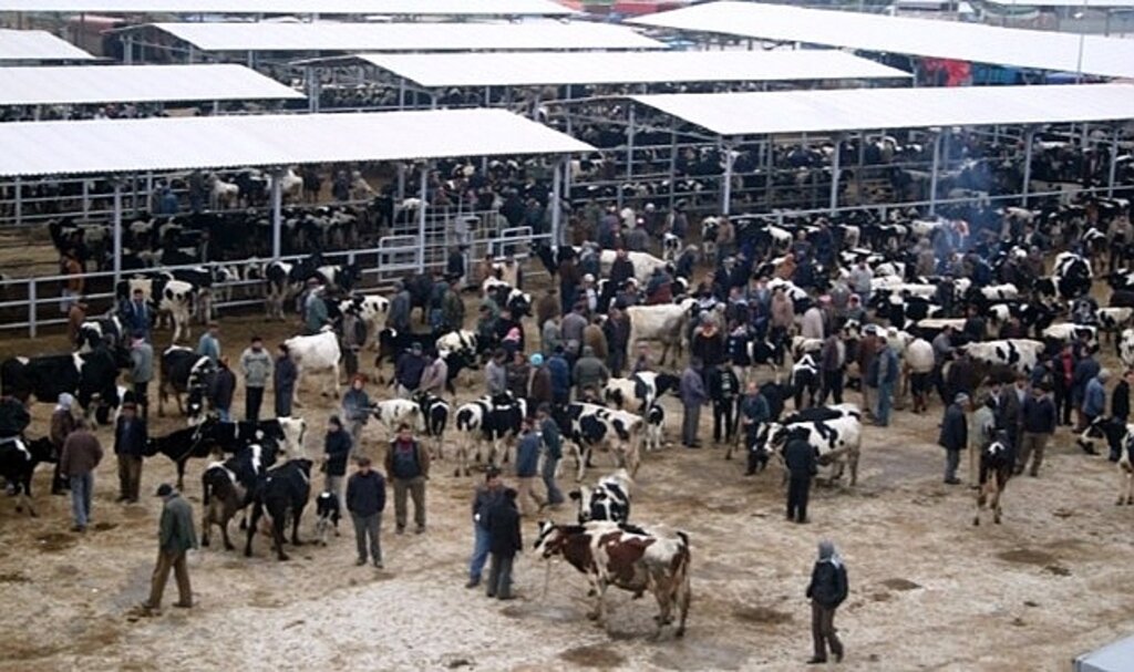 Ödemiş'te kurban satış ve kurban kesim yerleri belli oldu