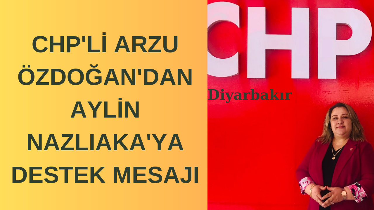 CHP'Lİ ARZU ÖZDOĞAN'DAN AYLİN NAZLIAKA'YA DESTEK MESAJI