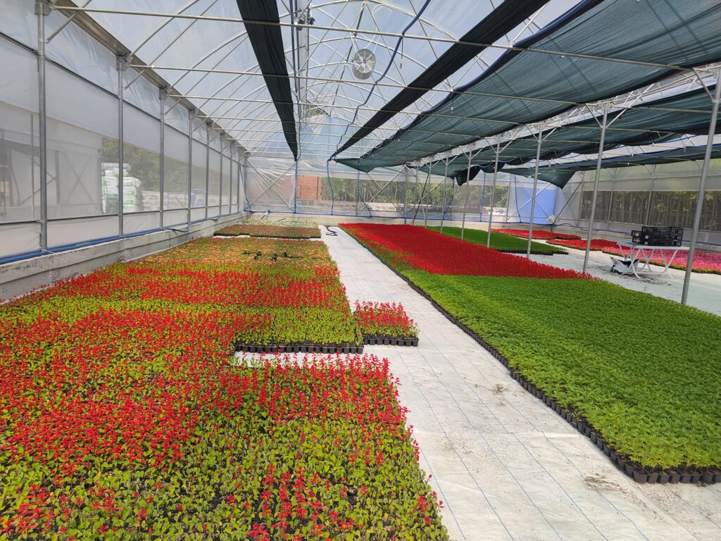 SERA, BATIPARK’A RENK KATACAK