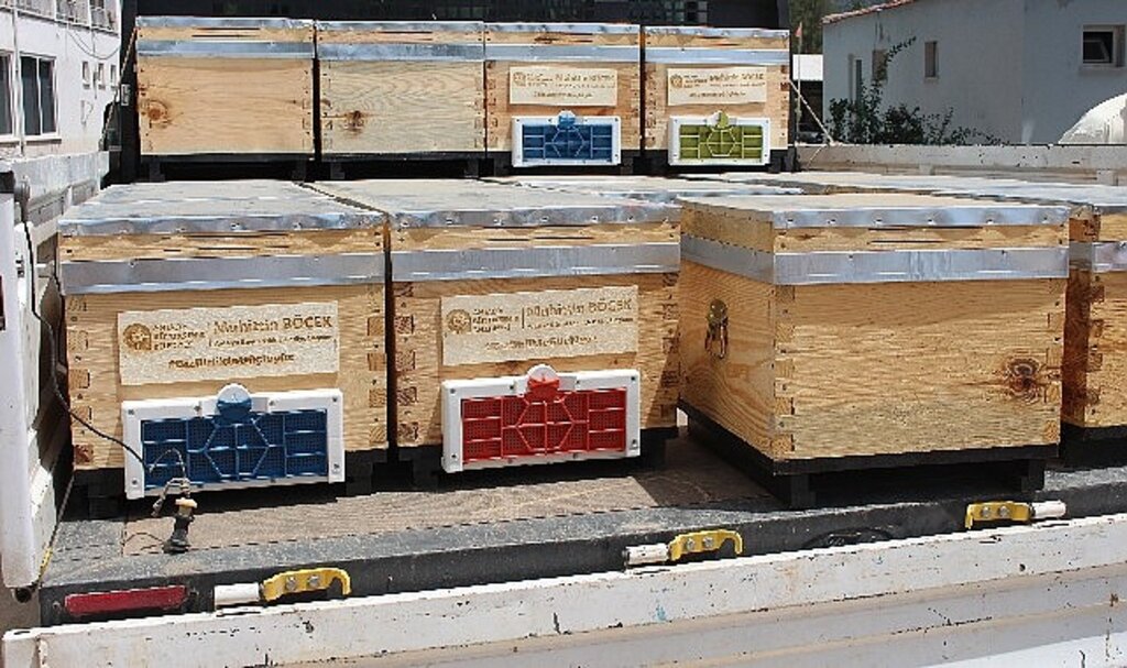 Antalya Büyükşehir'in arı kovanı destekleri sürüyor