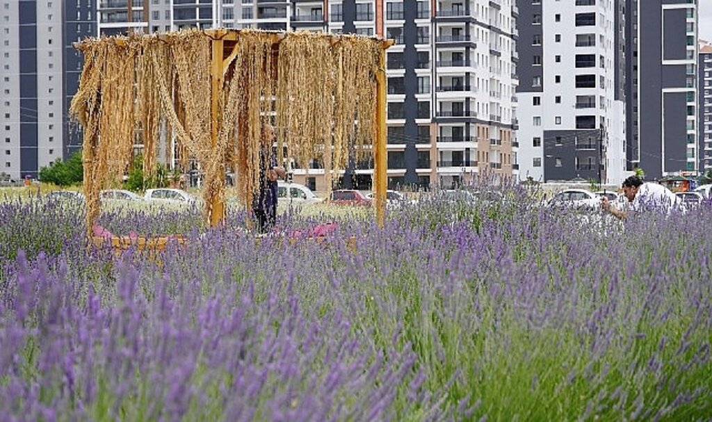 Başkan Altınok fotoğrafçıları Lavanta ve Gül bahçesine davet etti 