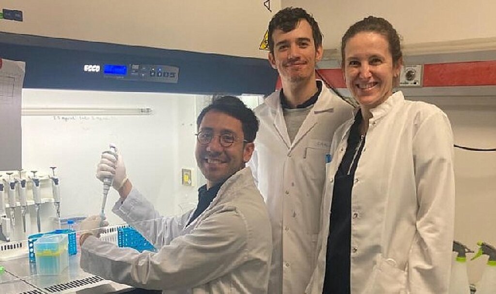 Dokuz Eylül ve Harvard Üniversitesi'nden ortak proje