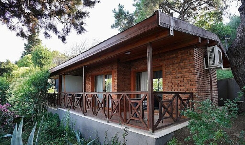 İBB, Orman Bakanlığı'ndan satın aldı