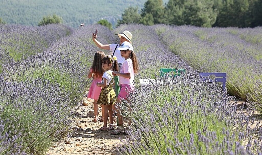 Lavanta Bahçesi'ne ziyaretçi akını