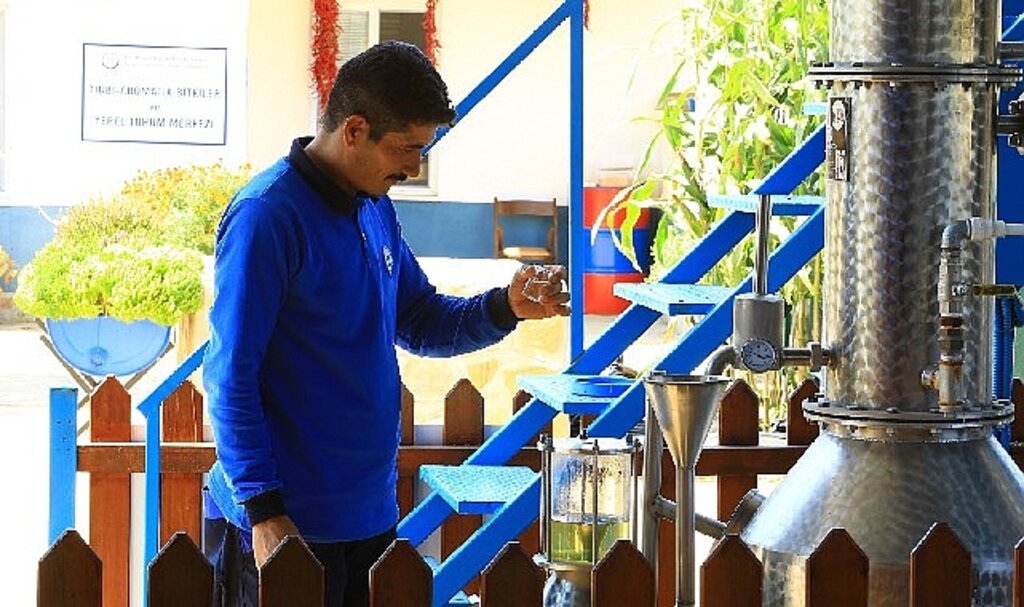 Muğla Büyükşehir Distilasyon Tesisi Muğla'nın Aromatik Bitkileri'ni İşliyor