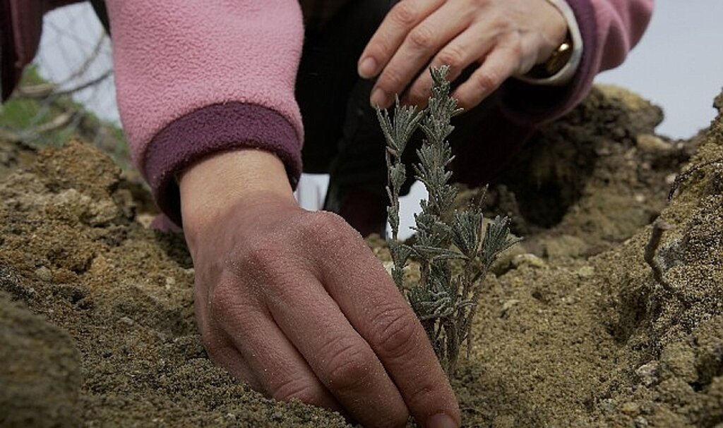 TOÇEV, Payam Ekolojik Badem Köyü Projesi'ne destek bekliyor