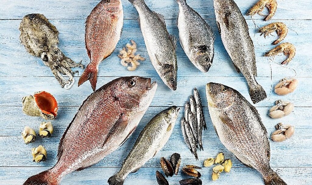 Türkiye'nin 6 aylık su ürünleri ihracatı 829 milyon dolara ulaştı