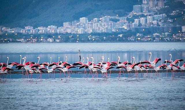 Arıtma lideri İzmir'in denizi de