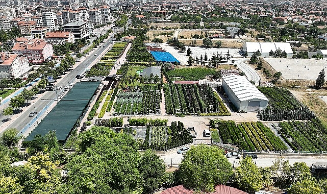 Başkan Altay Konya Ağaç A.Ş Satış Merkezi'nde İncelemelerde Bulundu