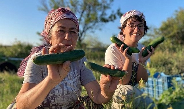 Buğday Derneği; Soframıza gelen zehirlerden 6'sı daha yasaklandı
