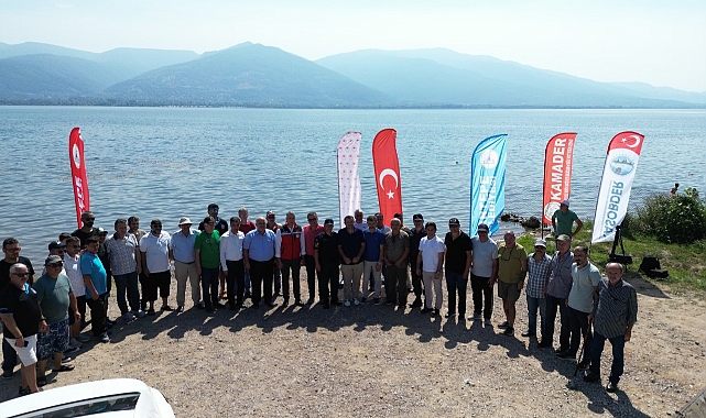 Eşme'de Sapanca gölüne 100 bin sazan salındı