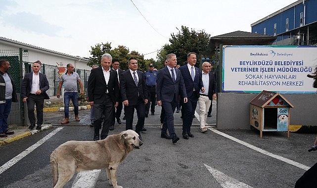 İstanbul Valisi Davut Gül Beylikdüzü'nde İncelemelerde Bulundu