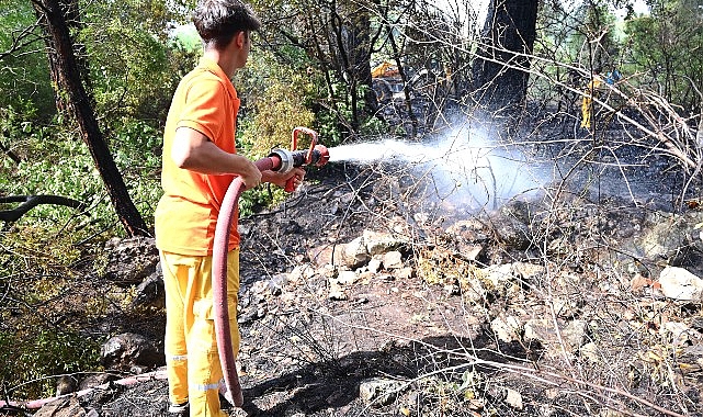 Kemer'de korkutan yangın büyümeden kontrol altına alındı