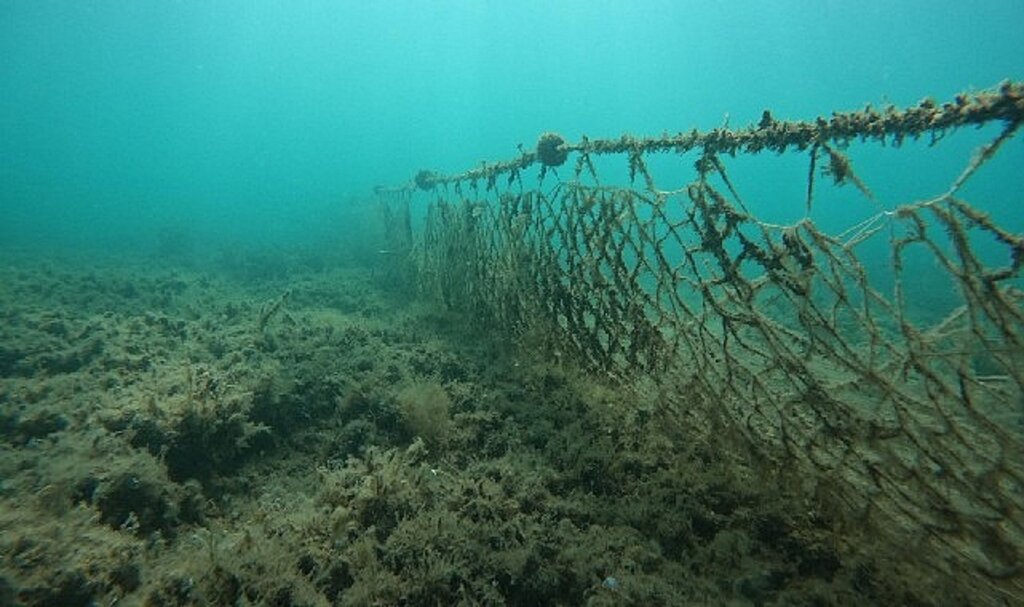 Kocaman'dan Kamader'in projesine destek