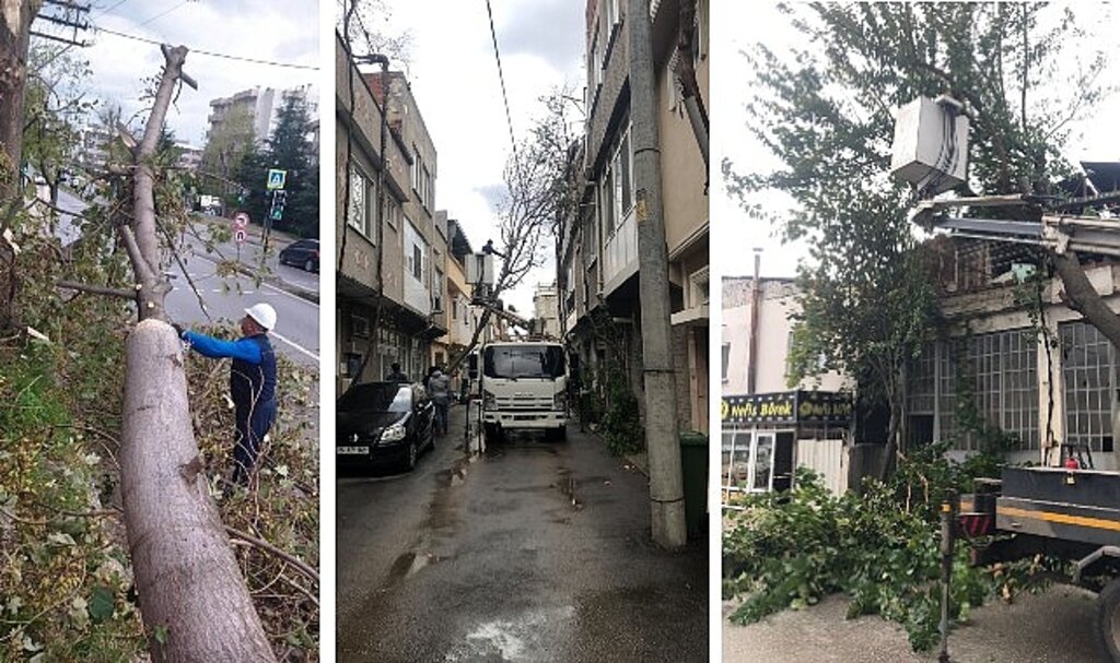 Osmangazi'de lodos mesaisi
