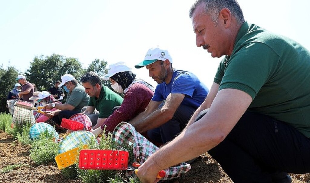 Büyükşehir'den tarıma 236 milyon 210 bin TL destek