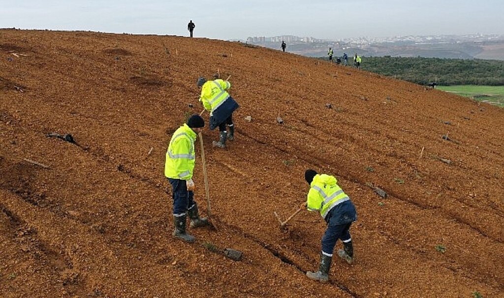 Dilovası'nda geleceğe 8 bin ağaçlık nefes